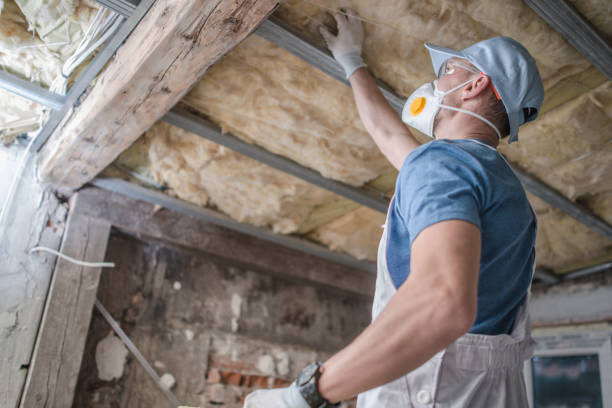 Professional Insulation Contractor in Sturgis, SD
