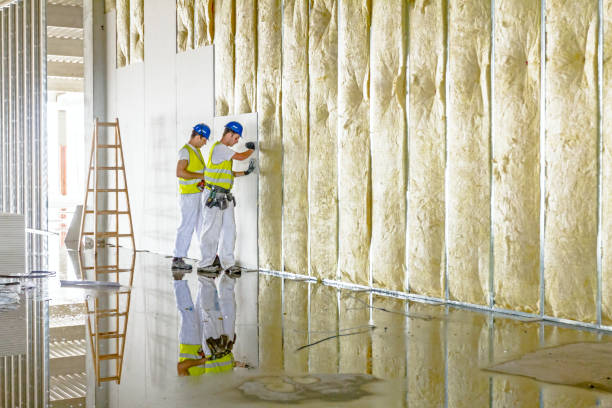 Best Eco-Friendly Insulation in Sturgis, SD